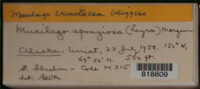 Image Associated With the Occurence